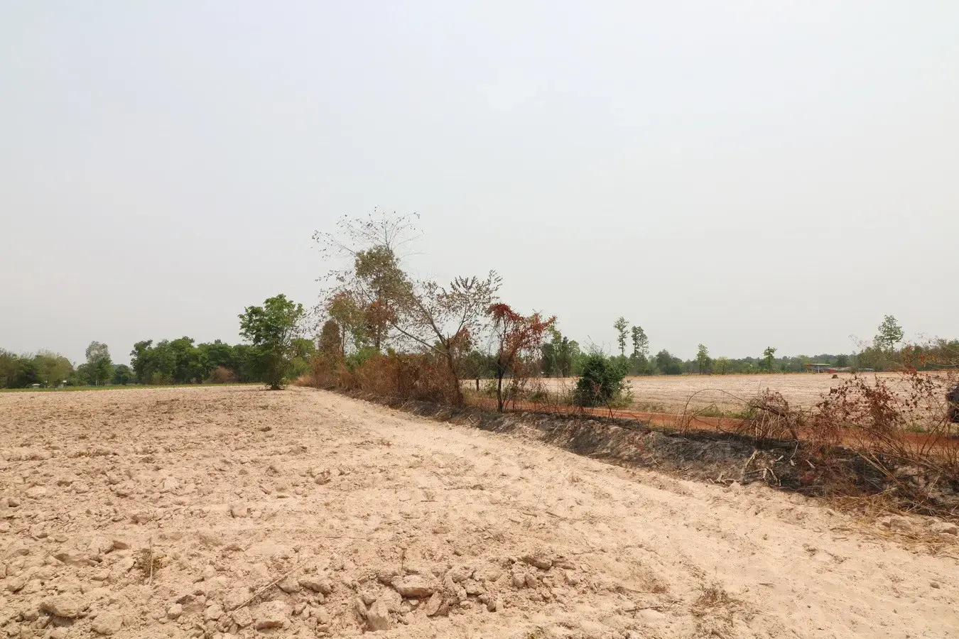 27+ Rai Of Farm Land For Sale, Nong Han, Udon Thani Province, Thailand
