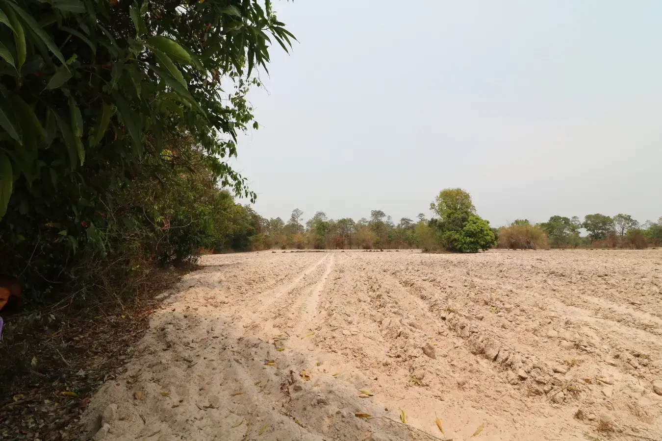 27+ Rai Of Farm Land For Sale, Nong Han, Udon Thani Province, Thailand