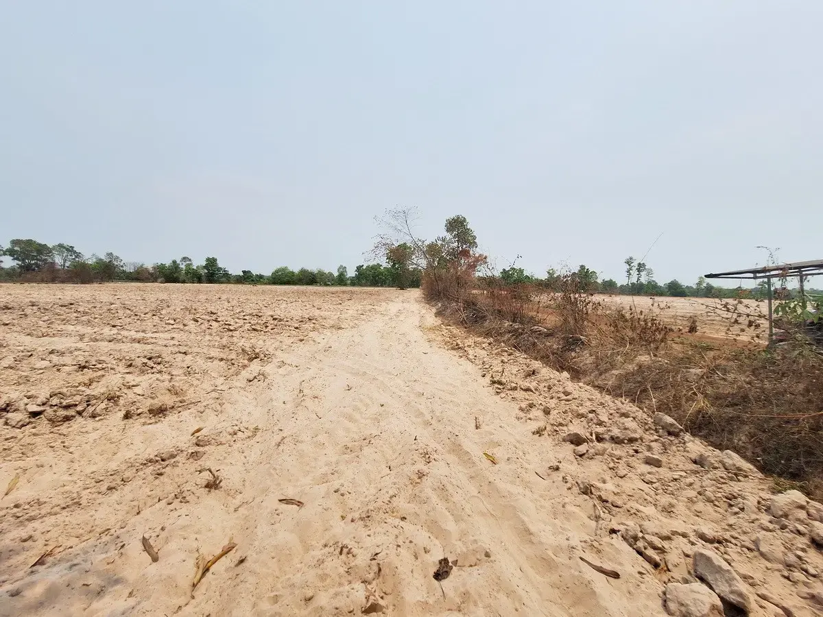 27+ Rai Of Farm Land For Sale, Nong Han, Udon Thani Province, Thailand