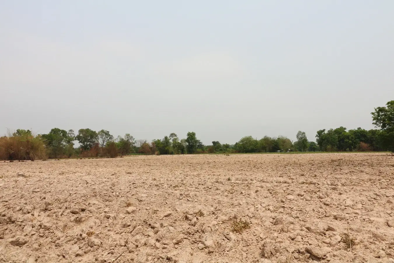 27+ Rai Of Farm Land For Sale, Nong Han, Udon Thani Province, Thailand