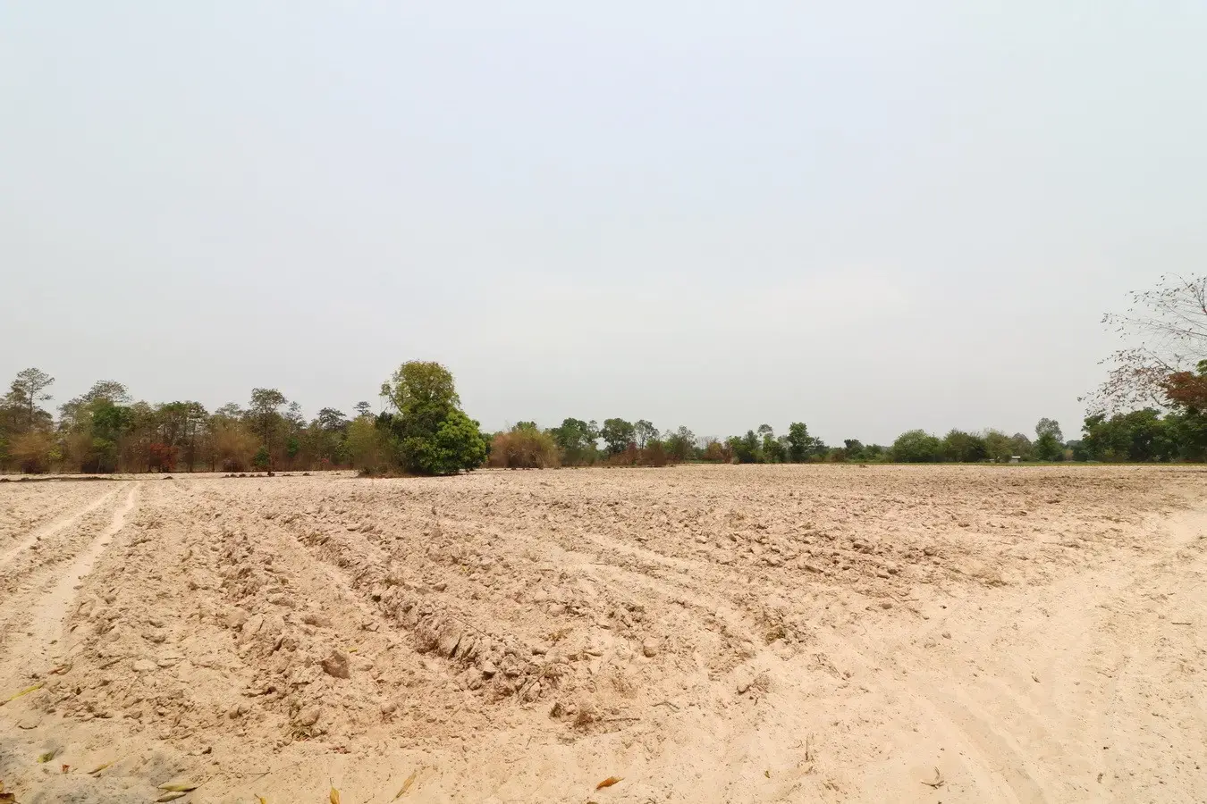 27+ Rai Of Farm Land For Sale, Nong Han, Udon Thani Province, Thailand