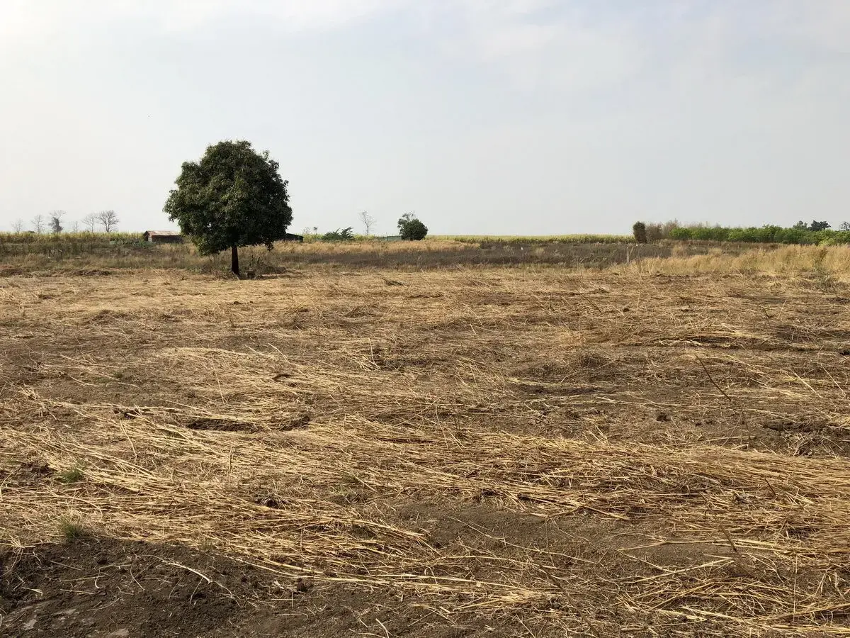 5+ Rai of Beautiful Land And Bungalow For Sale in Mae Kasa, Mae Sot, Tak, Thailand