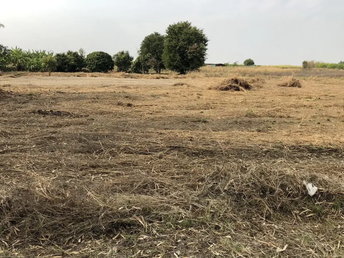 5+ Rai of Beautiful Land And Bungalow For Sale in Mae Kasa, Mae Sot, Tak, Thailand