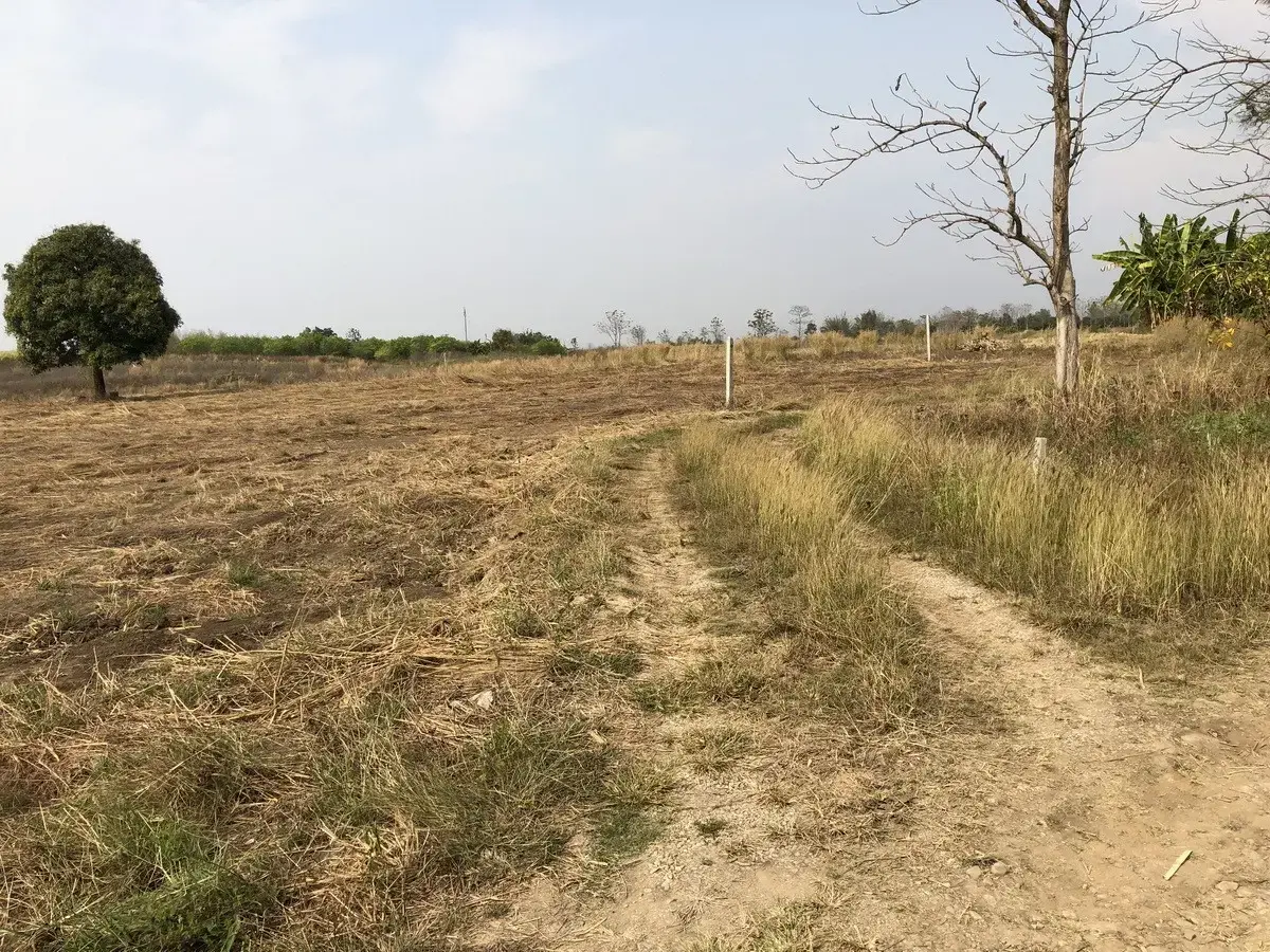 5+ Rai of Beautiful Land And Bungalow For Sale in Mae Kasa, Mae Sot, Tak, Thailand