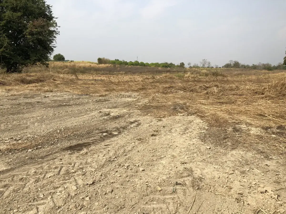 5+ Rai of Beautiful Land And Bungalow For Sale in Mae Kasa, Mae Sot, Tak, Thailand