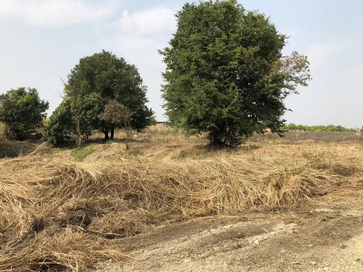 5+ Rai of Beautiful Land And Bungalow For Sale in Mae Kasa, Mae Sot, Tak, Thailand