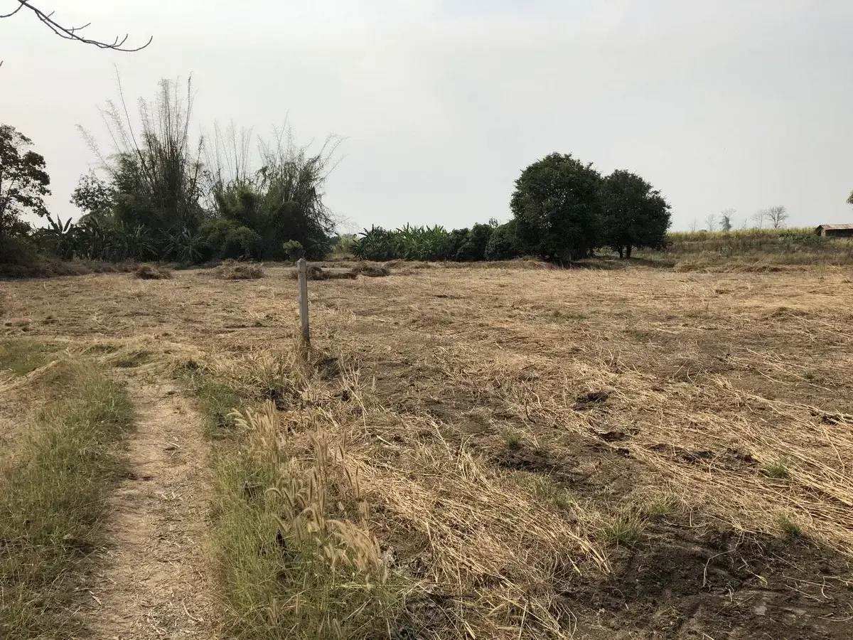 5+ Rai of Beautiful Land And Bungalow For Sale in Mae Kasa, Mae Sot, Tak, Thailand