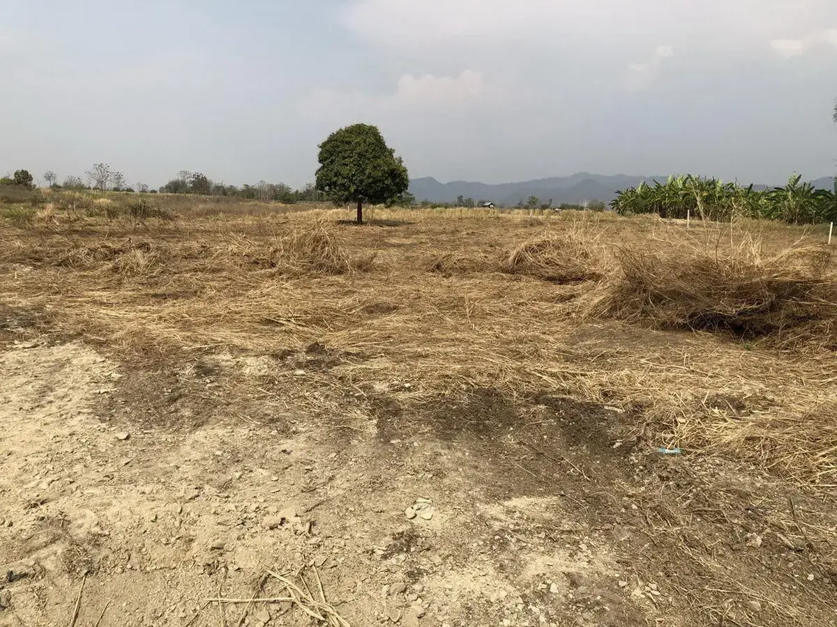 5+ Rai of Beautiful Land And Bungalow For Sale in Mae Kasa, Mae Sot, Tak, Thailand