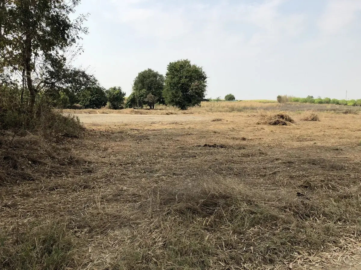 5+ Rai of Beautiful Land And Bungalow For Sale in Mae Kasa, Mae Sot, Tak, Thailand