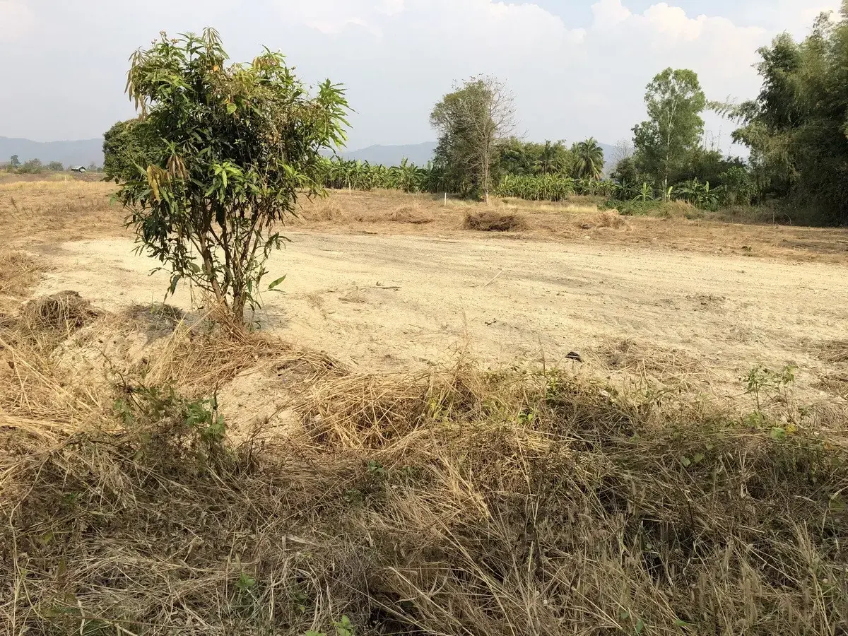 5+ Rai of Beautiful Land And Bungalow For Sale in Mae Kasa, Mae Sot, Tak, Thailand