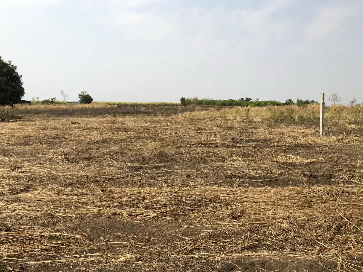 5+ Rai of Beautiful Land And Bungalow For Sale in Mae Kasa, Mae Sot, Tak, Thailand