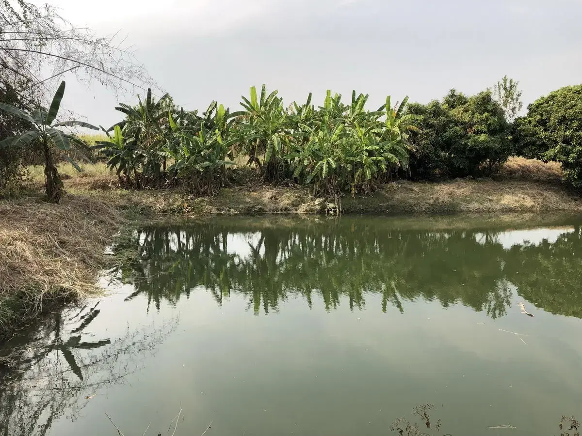 5+ Rai of Beautiful Land And Bungalow For Sale in Mae Kasa, Mae Sot, Tak, Thailand