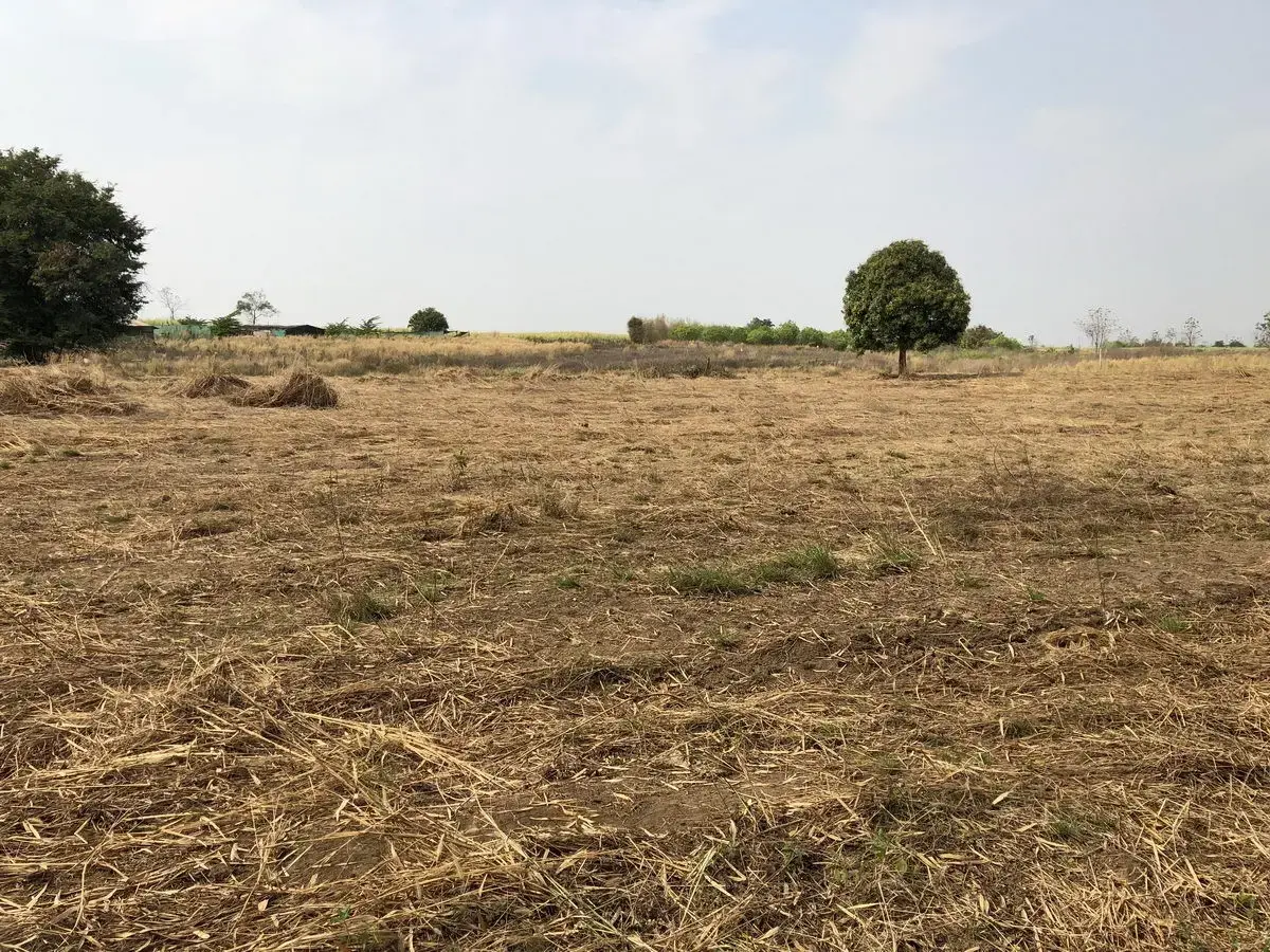 5+ Rai of Beautiful Land And Bungalow For Sale in Mae Kasa, Mae Sot, Tak, Thailand