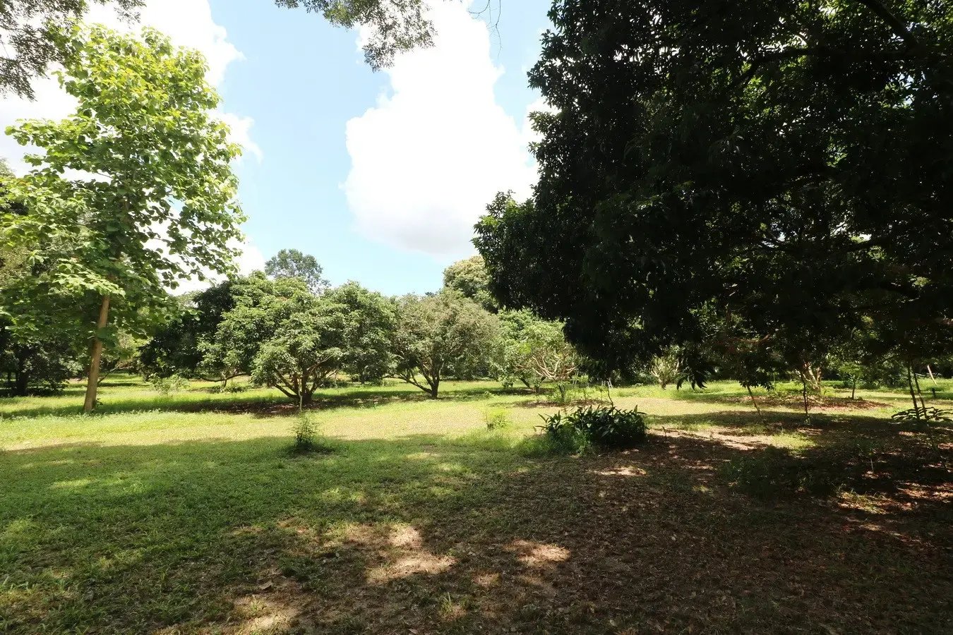 Experience Eco-Tourism Bliss: Remarkable Home &amp; 64+ Rai Land for Sale in Nakhon Phanom, Thailand - A Green Paradise Awaits.