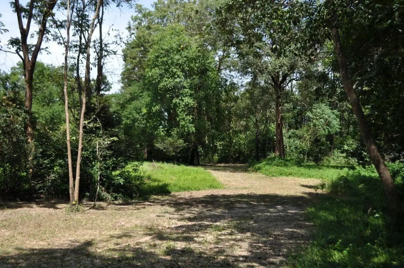 Experience Eco-Tourism Bliss: Remarkable Home &amp; 64+ Rai Land for Sale in Nakhon Phanom, Thailand - A Green Paradise Awaits.