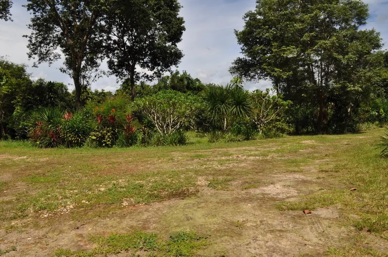 Experience Eco-Tourism Bliss: Remarkable Home &amp; 64+ Rai Land for Sale in Nakhon Phanom, Thailand - A Green Paradise Awaits.