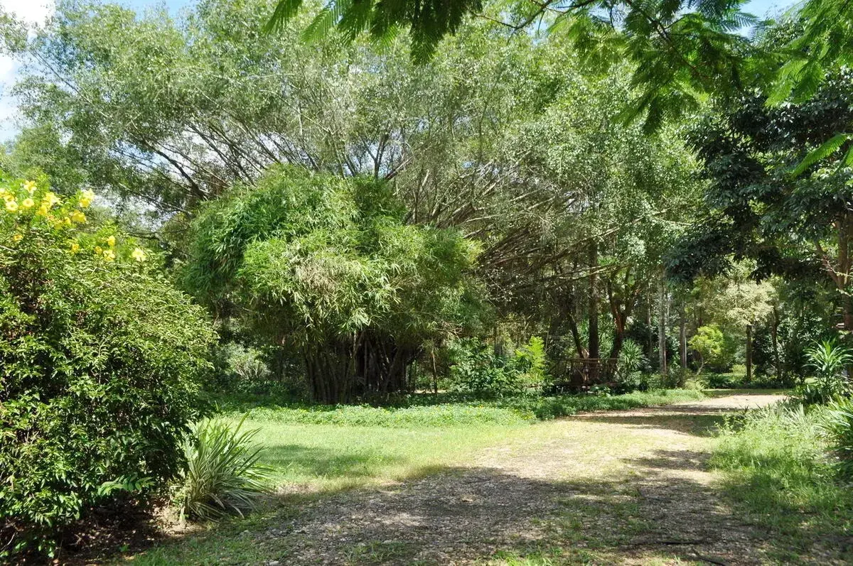 Experience Eco-Tourism Bliss: Remarkable Home &amp; 64+ Rai Land for Sale in Nakhon Phanom, Thailand - A Green Paradise Awaits.