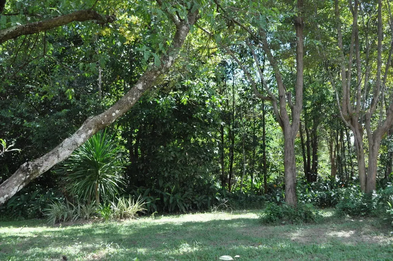 Experience Eco-Tourism Bliss: Remarkable Home &amp; 64+ Rai Land for Sale in Nakhon Phanom, Thailand - A Green Paradise Awaits.