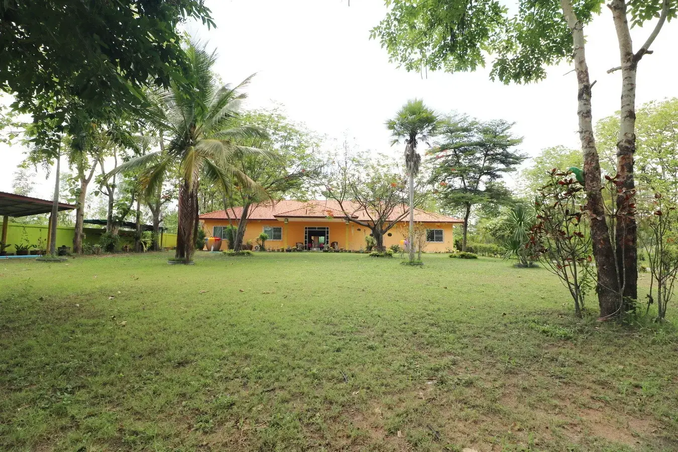 Stunning 5 Bed, 3 Bath Home For Sale on 3.5+ Rai of Landscaped Land Near Nong Wau So, Udon Thani, Thailand