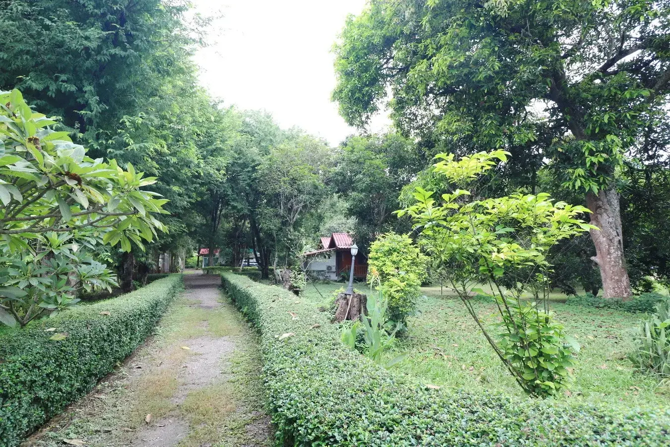 Bu Hom Riverside Resort with 11 Bungalows For Sale with 460 Mt. Mekong River Front, Chiang Khan Loei, Thailand