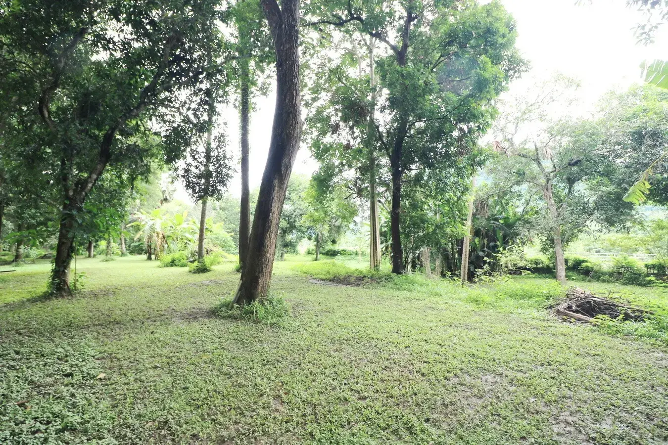 Bu Hom Riverside Resort with 11 Bungalows For Sale with 460 Mt. Mekong River Front, Chiang Khan Loei, Thailand