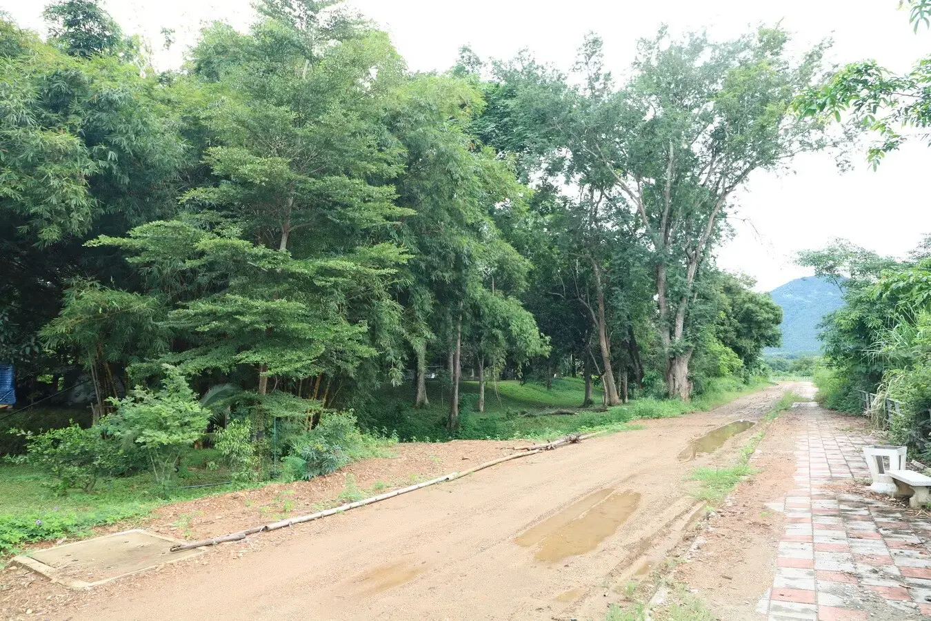 Bu Hom Riverside Resort with 11 Bungalows For Sale with 460 Mt. Mekong River Front, Chiang Khan Loei, Thailand