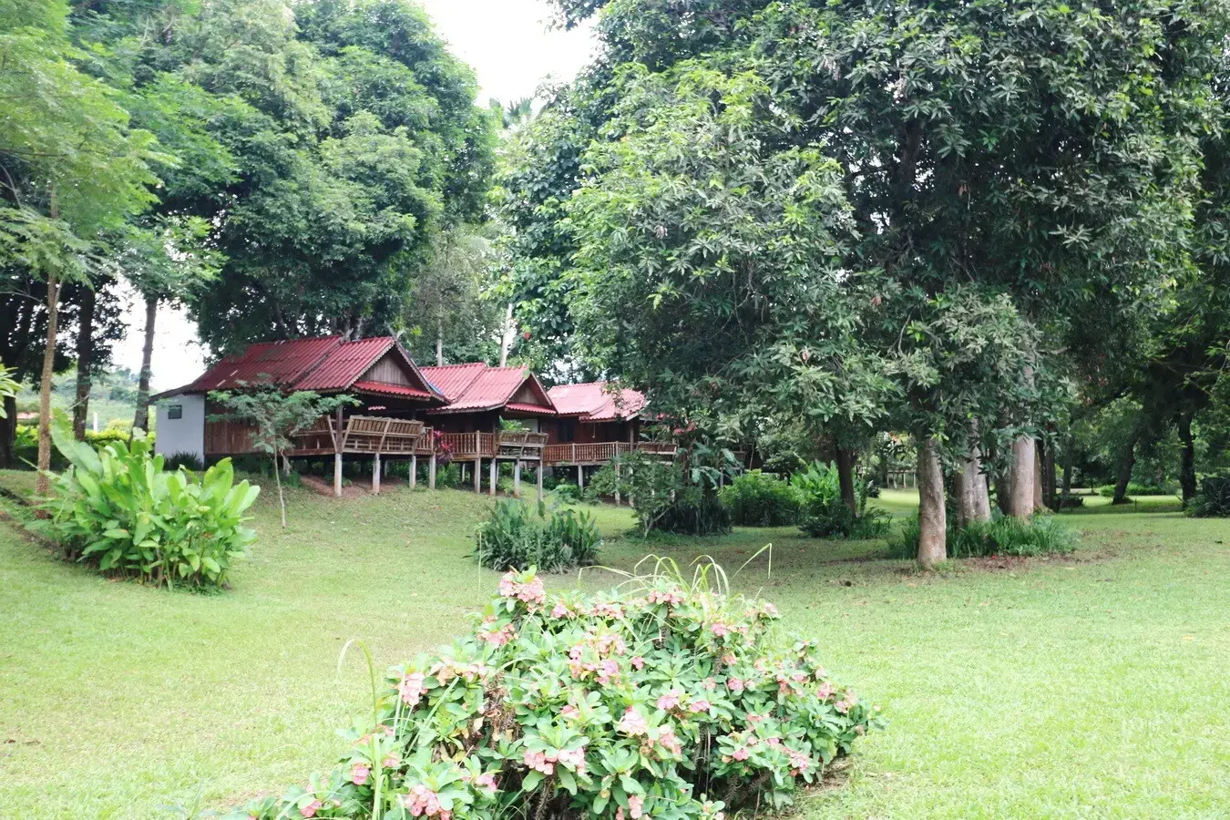 Bu Hom Riverside Resort with 11 Bungalows For Sale with 460 Mt. Mekong River Front, Chiang Khan Loei, Thailand