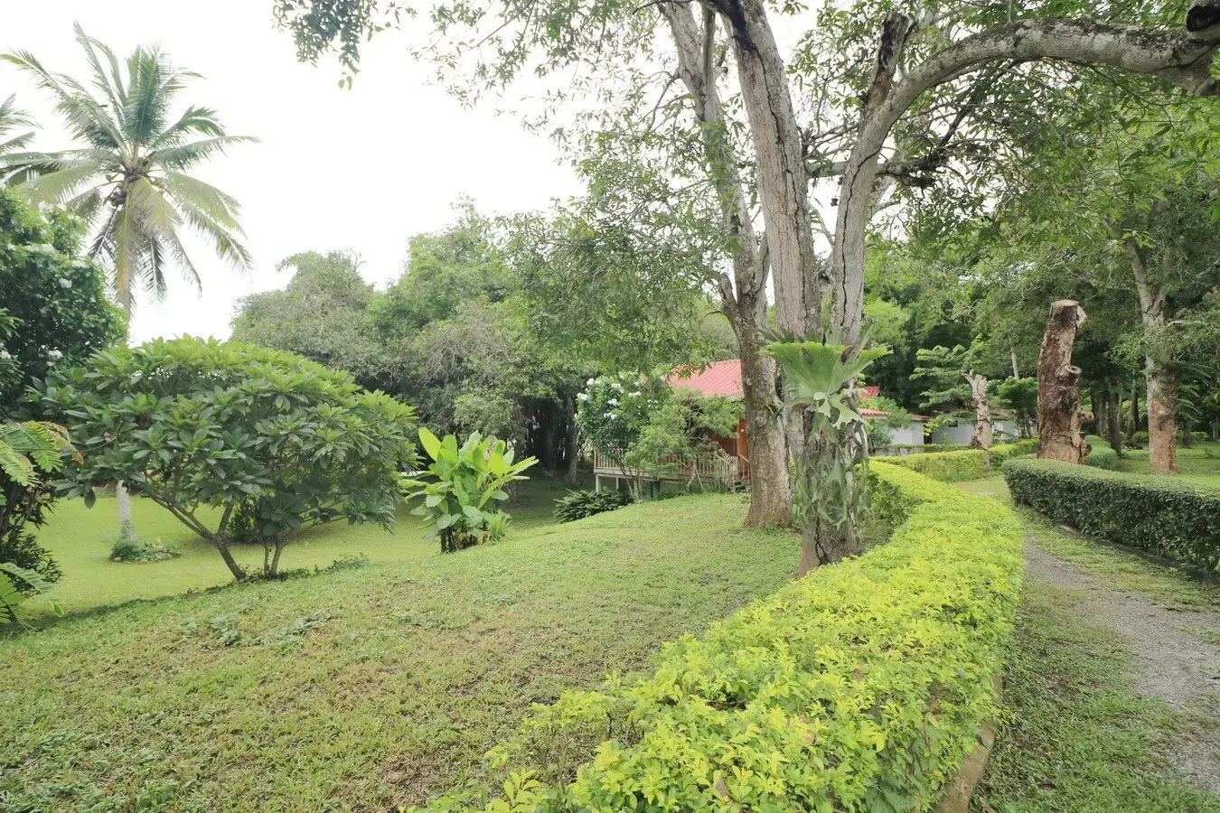 Bu Hom Riverside Resort with 11 Bungalows For Sale with 460 Mt. Mekong River Front, Chiang Khan Loei, Thailand