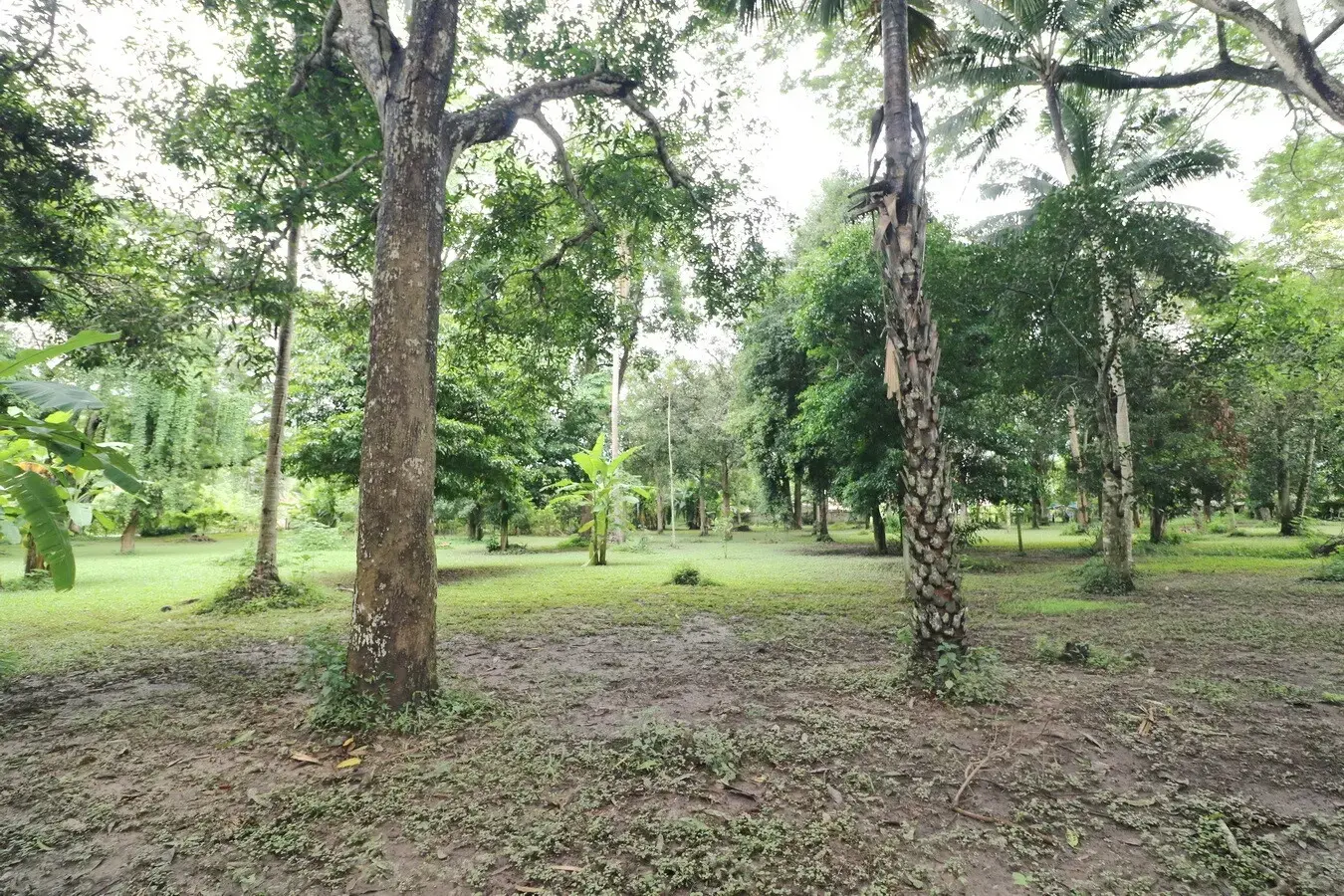 Bu Hom Riverside Resort with 11 Bungalows For Sale with 460 Mt. Mekong River Front, Chiang Khan Loei, Thailand