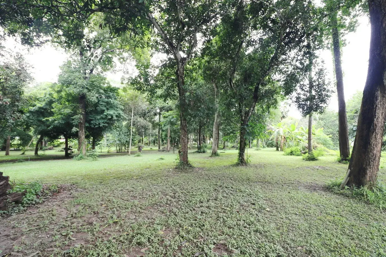 Bu Hom Riverside Resort with 11 Bungalows For Sale with 460 Mt. Mekong River Front, Chiang Khan Loei, Thailand