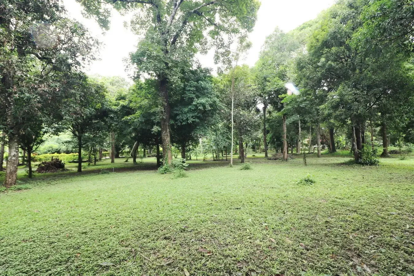 Bu Hom Riverside Resort with 11 Bungalows For Sale with 460 Mt. Mekong River Front, Chiang Khan Loei, Thailand