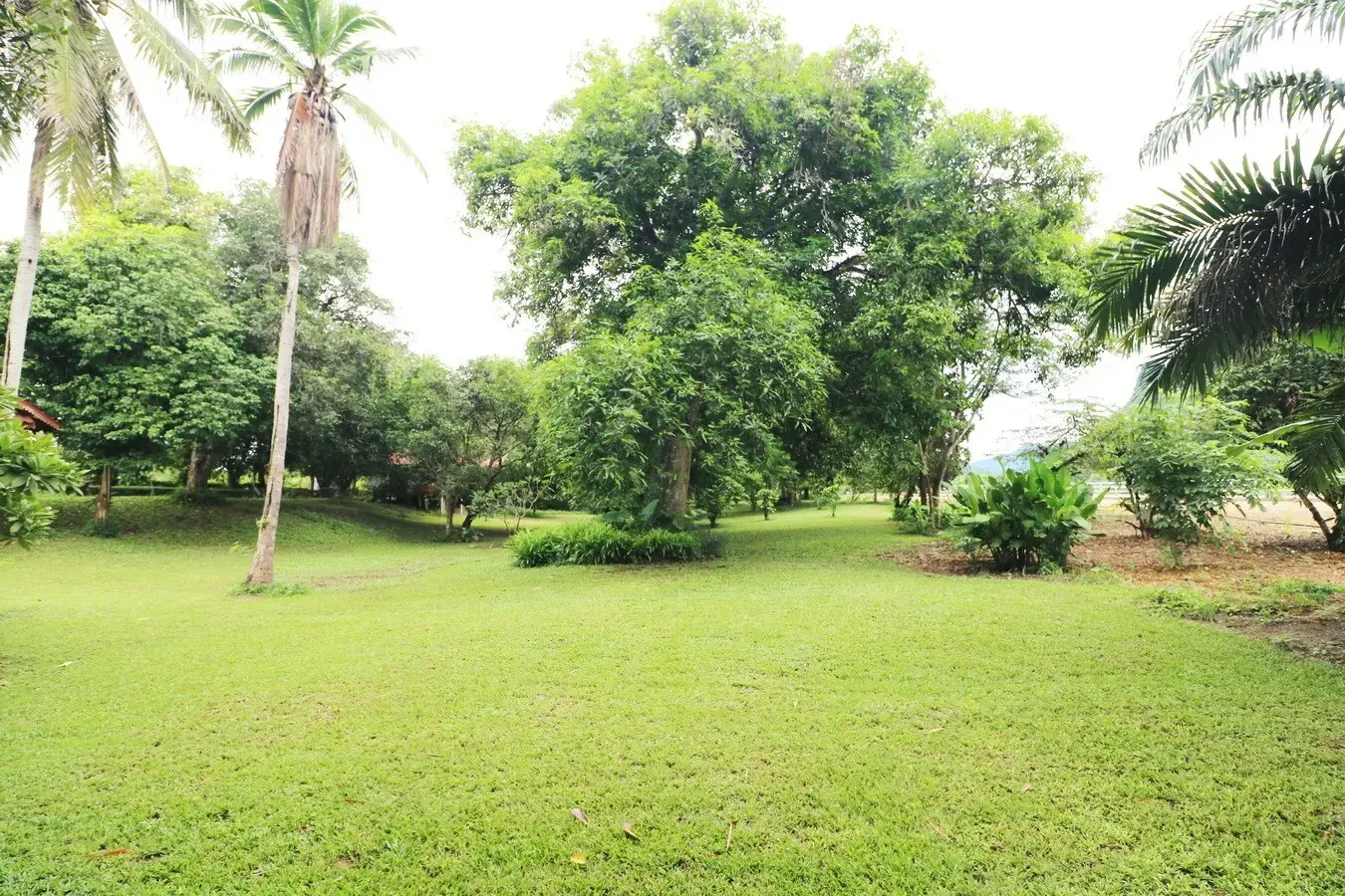 Bu Hom Riverside Resort with 11 Bungalows For Sale with 460 Mt. Mekong River Front, Chiang Khan Loei, Thailand