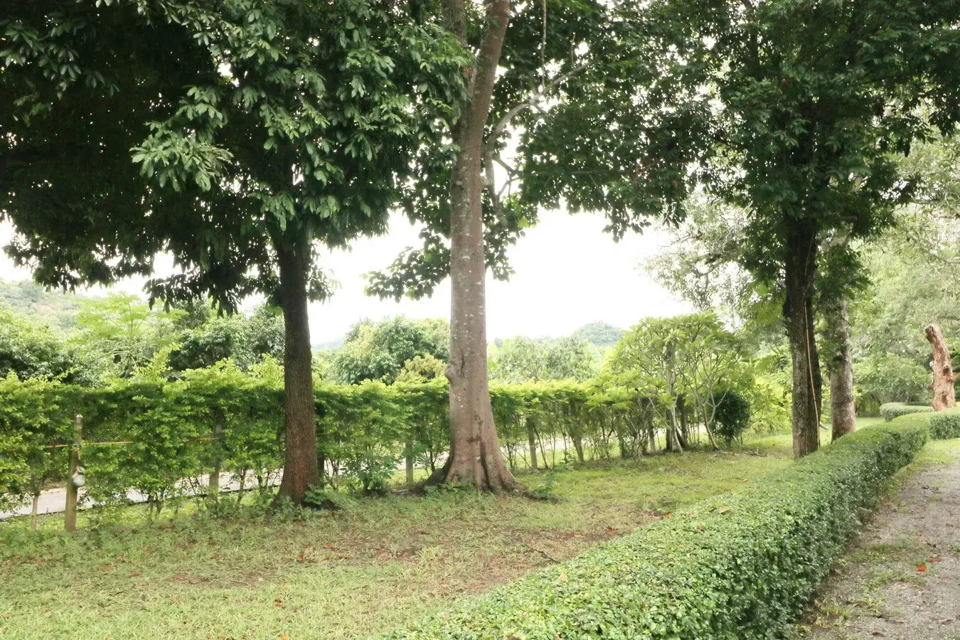 Bu Hom Riverside Resort with 11 Bungalows For Sale with 460 Mt. Mekong River Front, Chiang Khan Loei, Thailand