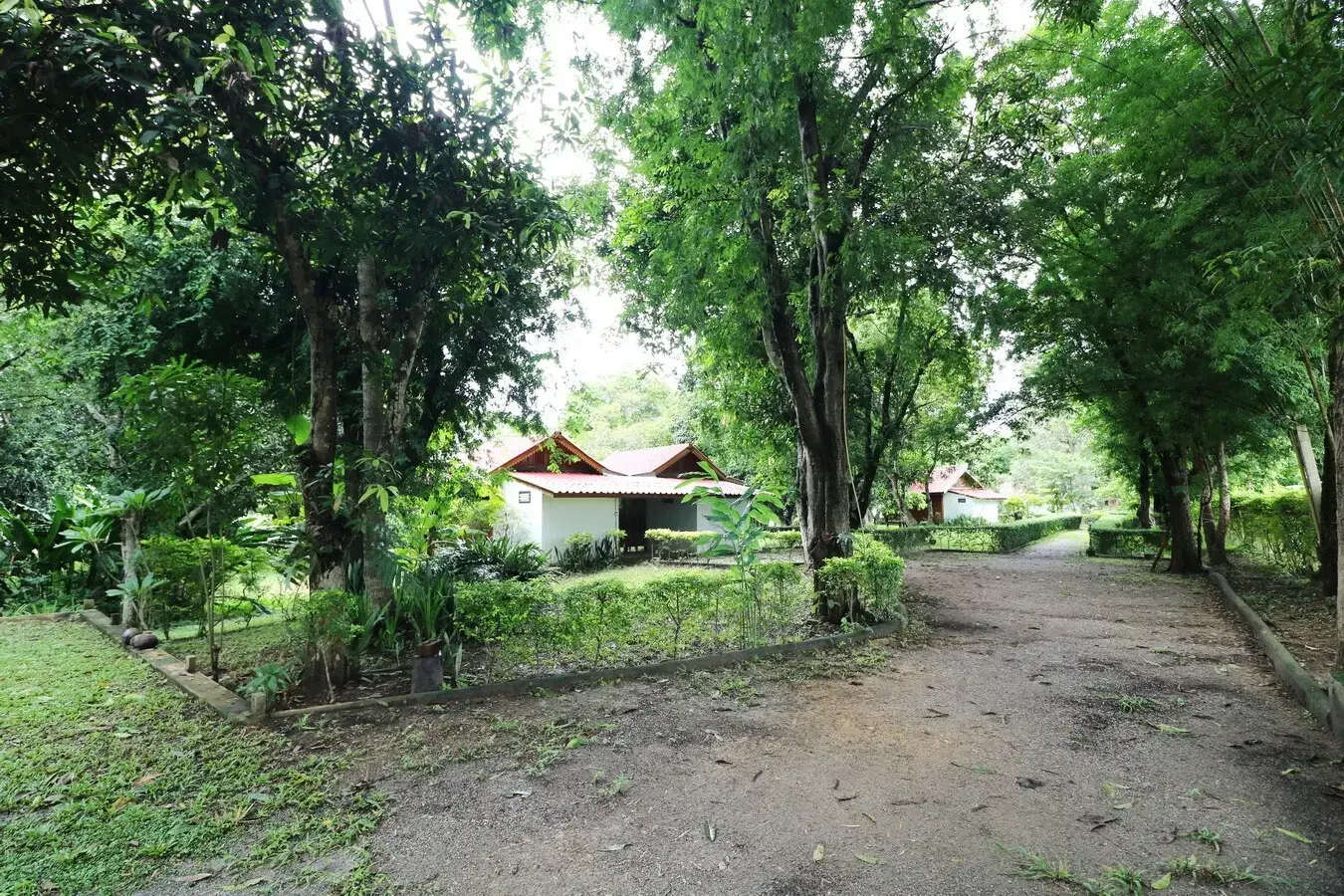 Bu Hom Riverside Resort with 11 Bungalows For Sale with 460 Mt. Mekong River Front, Chiang Khan Loei, Thailand