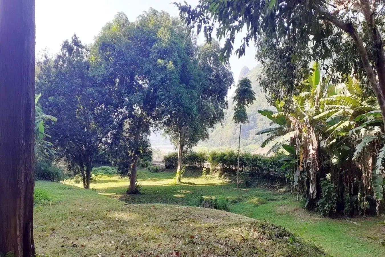 Bu Hom Riverside Resort with 11 Bungalows For Sale with 460 Mt. Mekong River Front, Chiang Khan Loei, Thailand