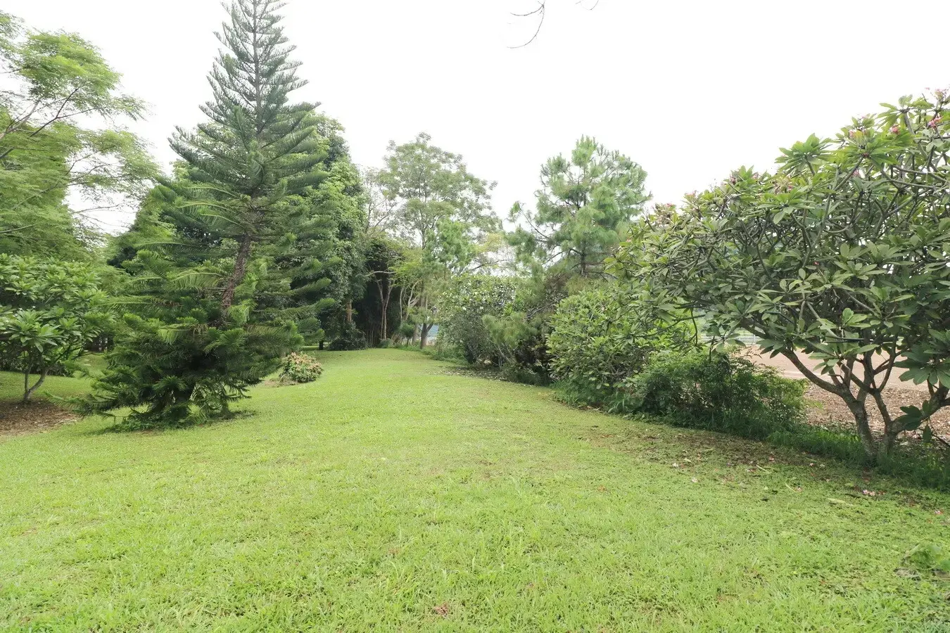 Bu Hom Riverside Resort with 11 Bungalows For Sale with 460 Mt. Mekong River Front, Chiang Khan Loei, Thailand