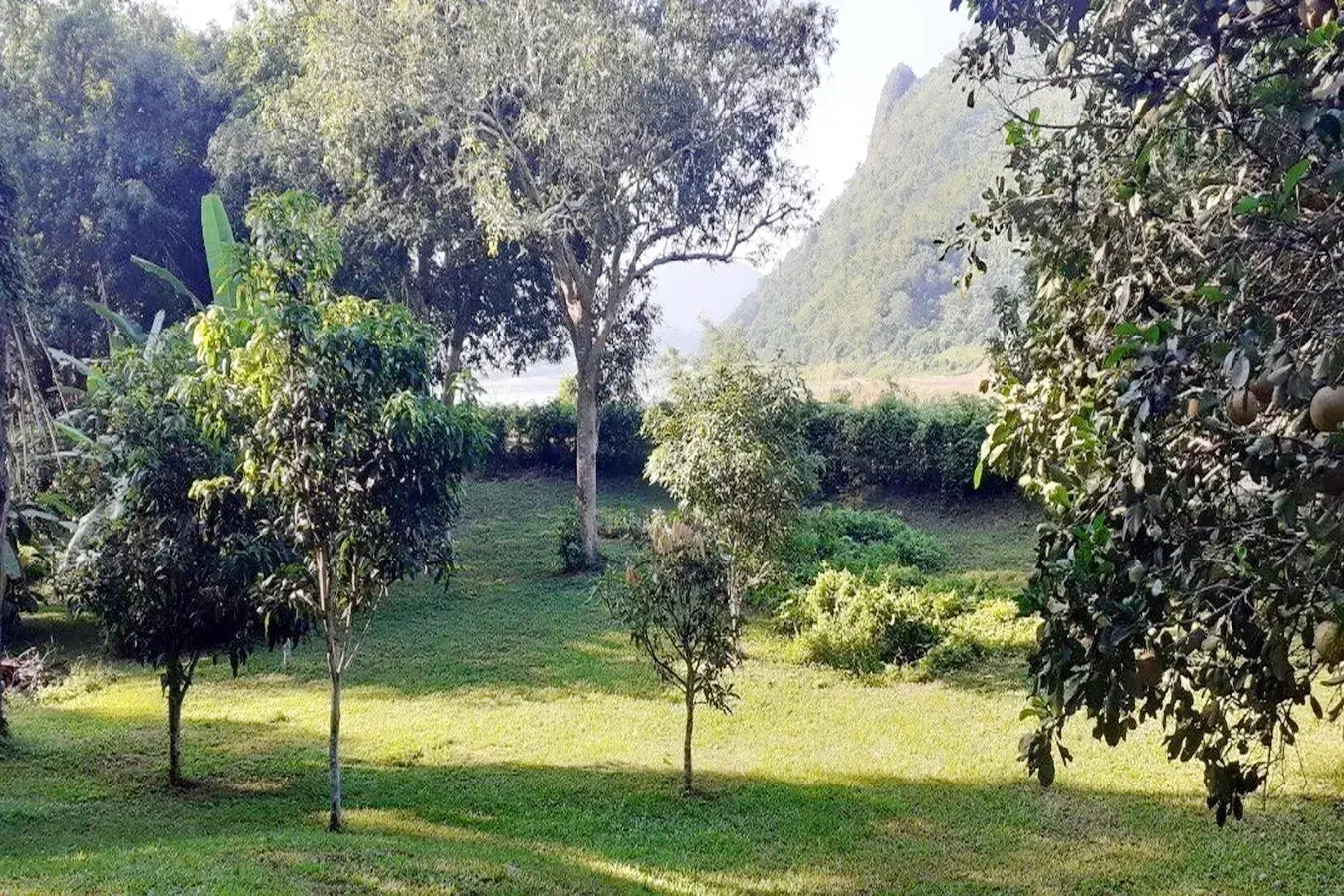 Bu Hom Riverside Resort with 11 Bungalows For Sale with 460 Mt. Mekong River Front, Chiang Khan Loei, Thailand