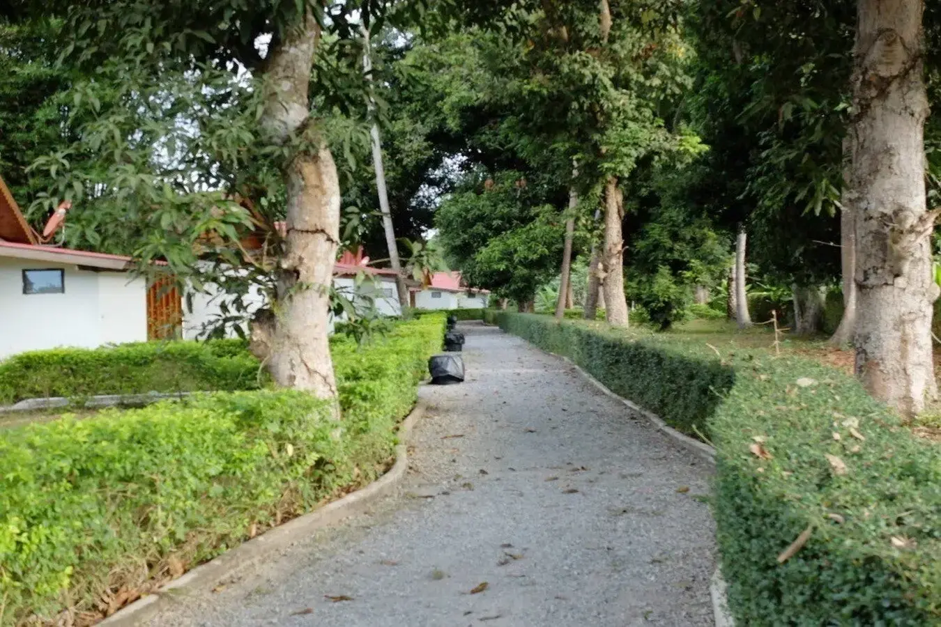 Bu Hom Riverside Resort with 11 Bungalows For Sale with 460 Mt. Mekong River Front, Chiang Khan Loei, Thailand