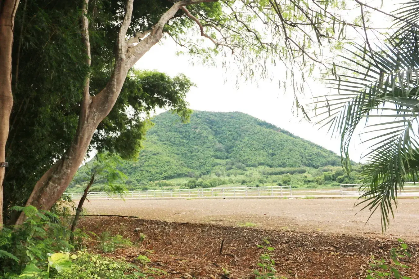 Bu Hom Riverside Resort with 11 Bungalows For Sale with 460 Mt. Mekong River Front, Chiang Khan Loei, Thailand