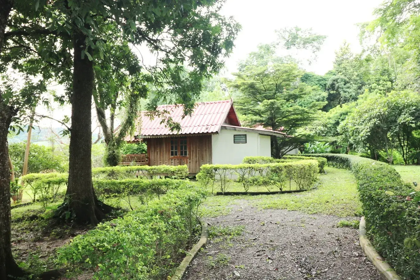 Bu Hom Riverside Resort with 11 Bungalows For Sale with 460 Mt. Mekong River Front, Chiang Khan Loei, Thailand