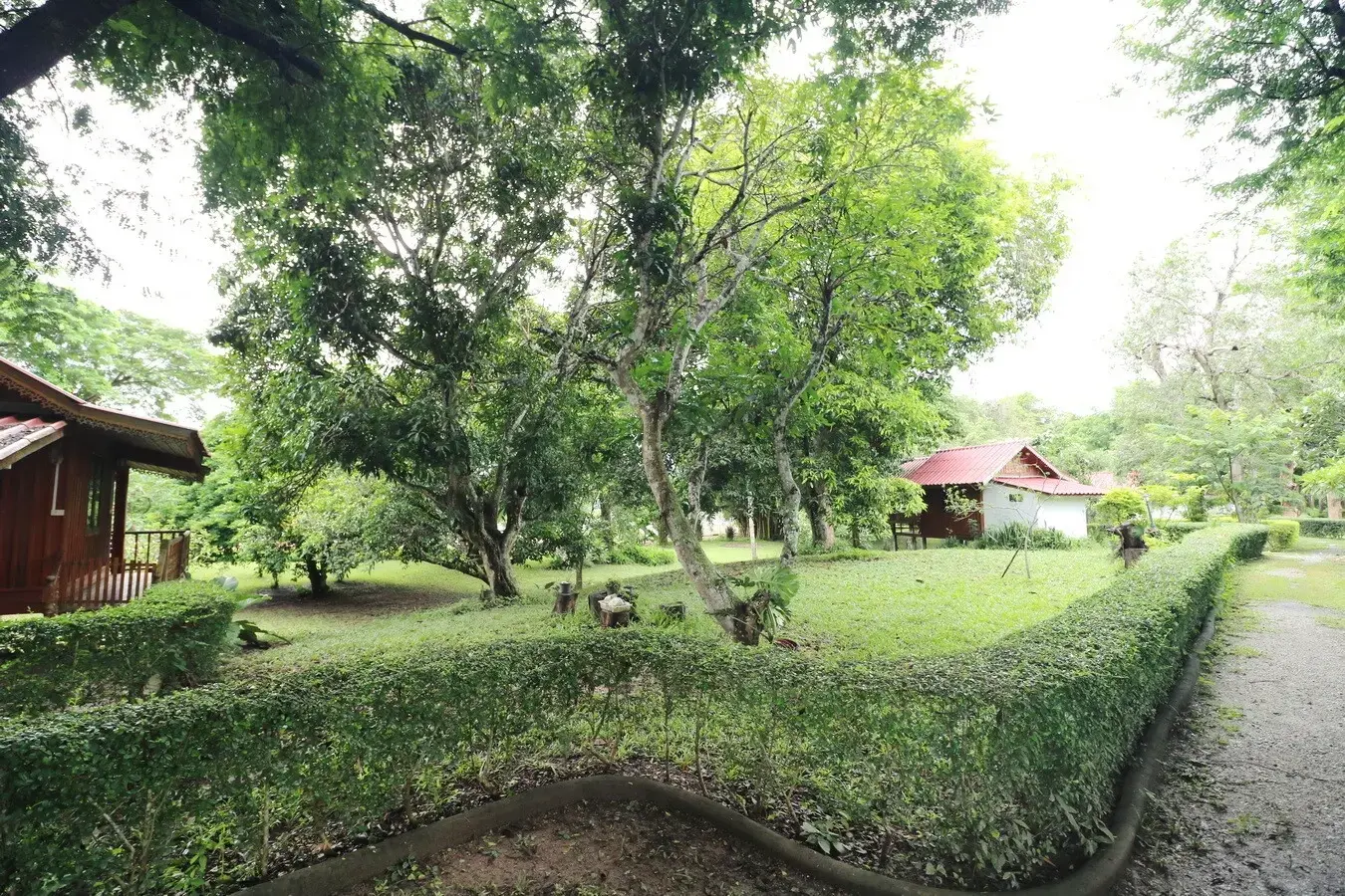 Bu Hom Riverside Resort with 11 Bungalows For Sale with 460 Mt. Mekong River Front, Chiang Khan Loei, Thailand