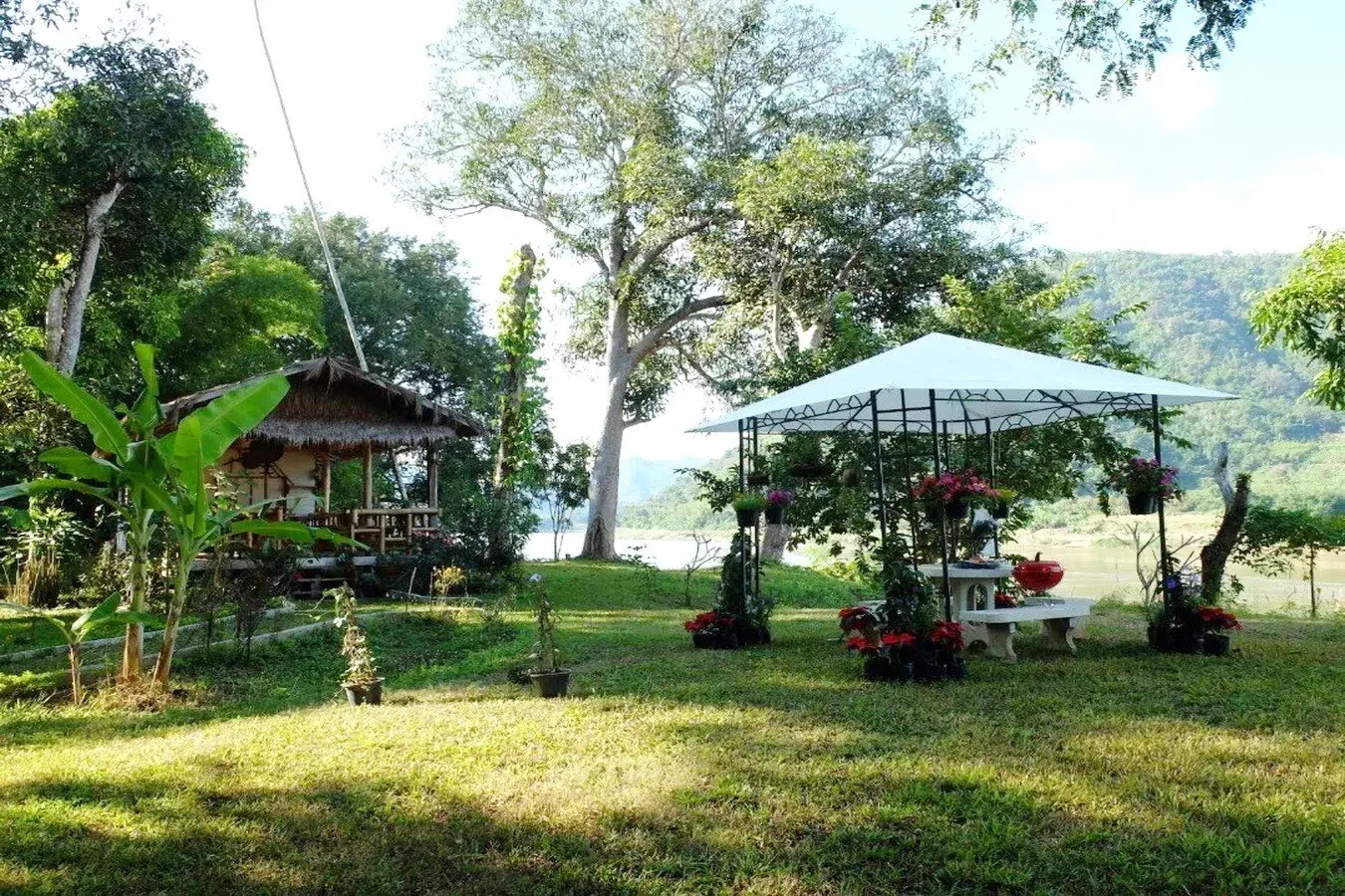 Bu Hom Riverside Resort with 11 Bungalows For Sale with 460 Mt. Mekong River Front, Chiang Khan Loei, Thailand
