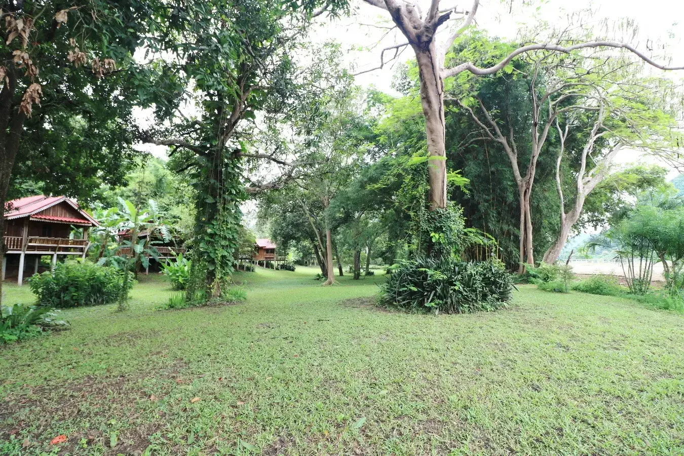 Bu Hom Riverside Resort with 11 Bungalows For Sale with 460 Mt. Mekong River Front, Chiang Khan Loei, Thailand