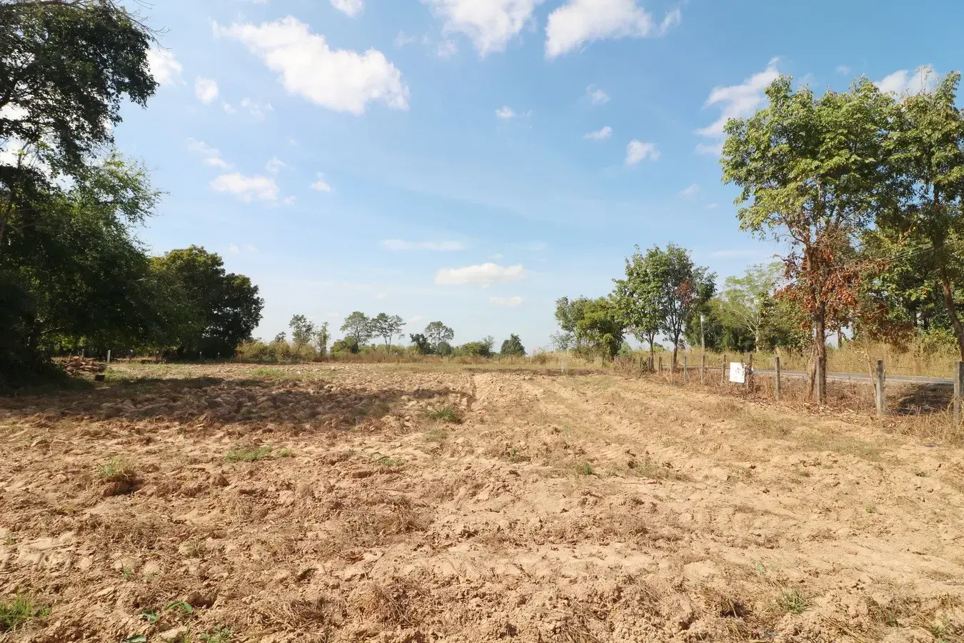 3 Rai, 84 Talang Wah Of Land For Sale, Phra That Bang Phuan, Nong Khai, Thailand