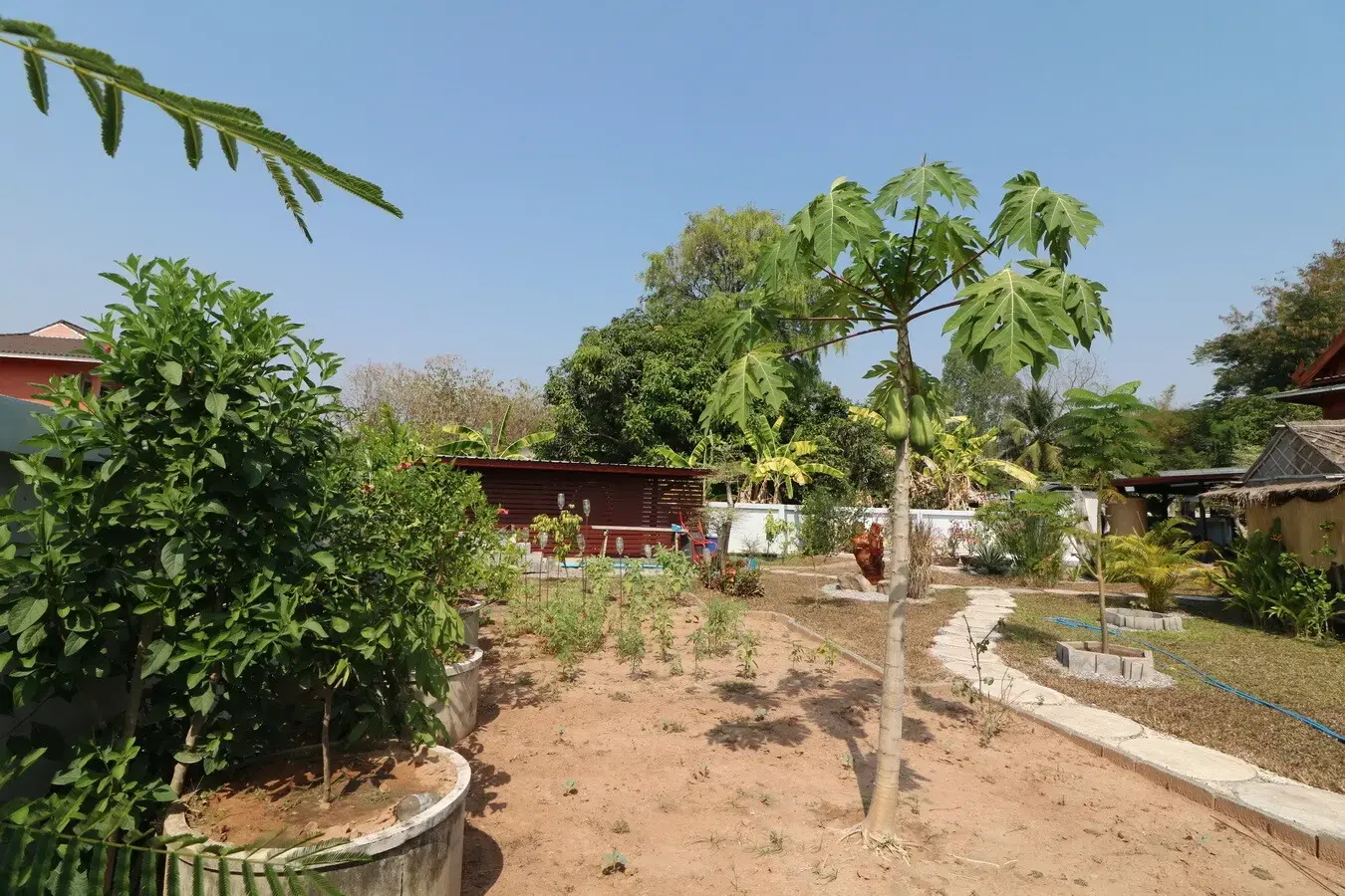 A Traditional Lanna Style 3 BRM, 3 BTH Home For Sale On 1 Rai, 25 Talang Wah, Khon San, Chaiyaphum, Thailand