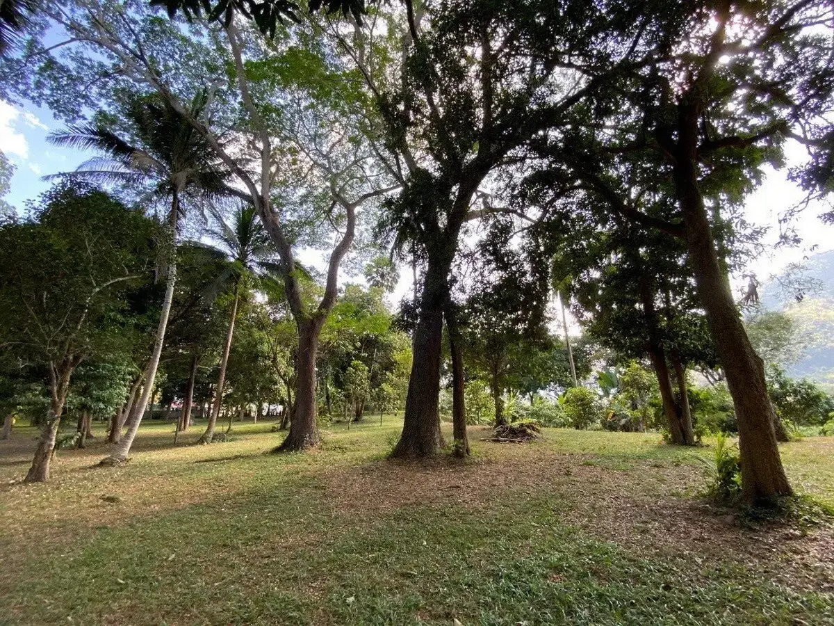 10 Rai Prime Resort Riverfront Land – For Sale in Chiang Khan, Loei, Thailand