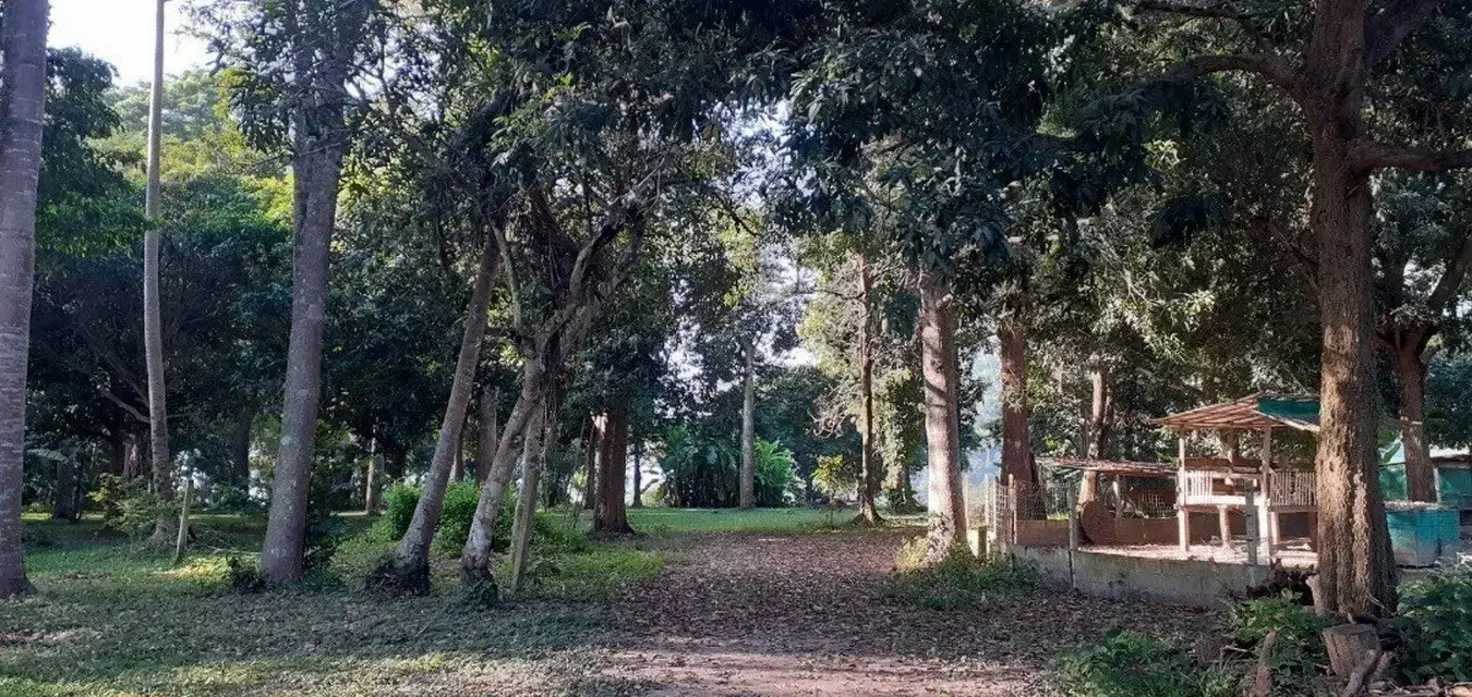 10 Rai Prime Resort Riverfront Land – For Sale in Chiang Khan, Loei, Thailand