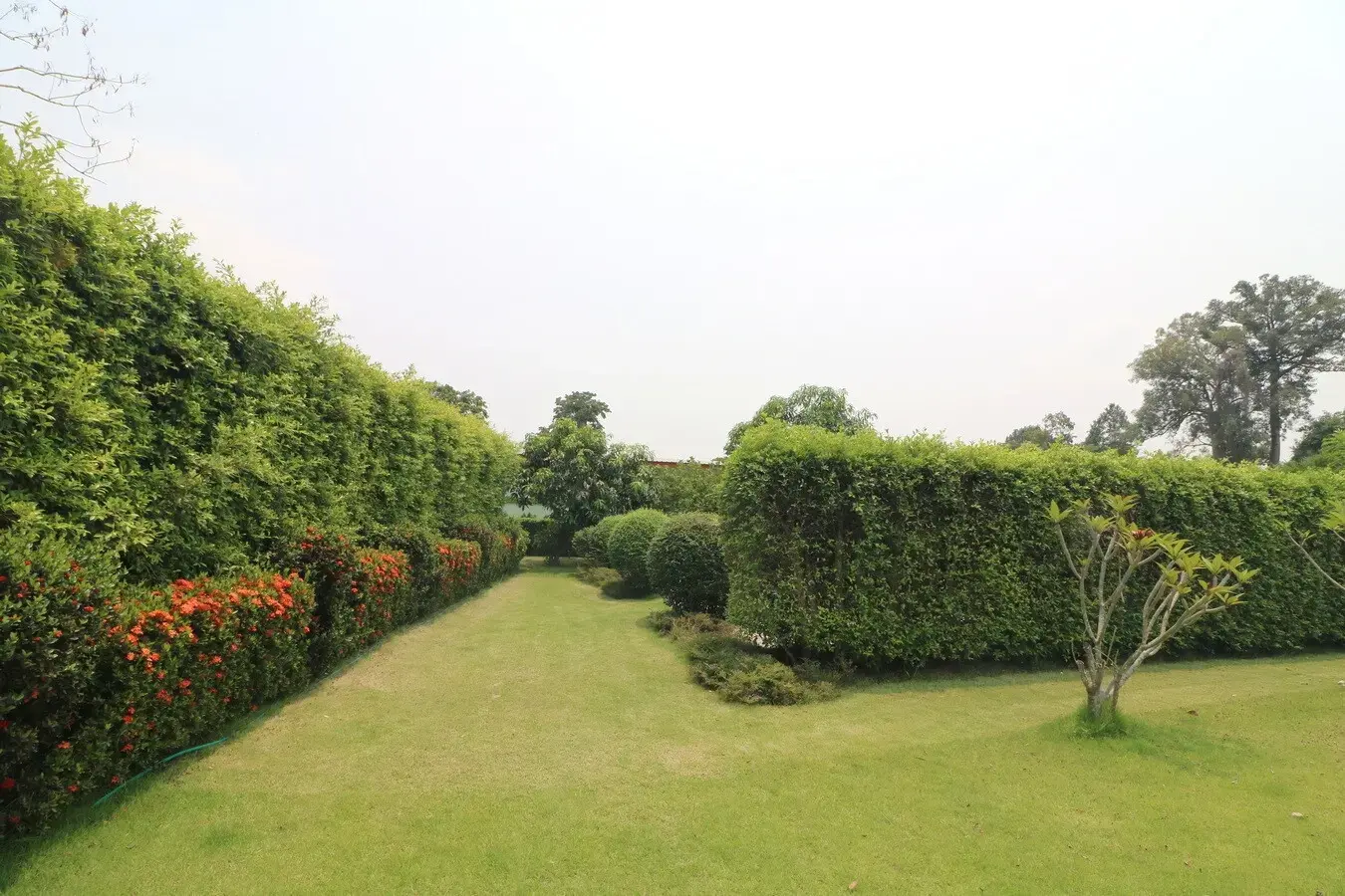 A 3 BRM, 3 BATH, 3 Toilet, 2 Level Home For Sale, Set on 1 Rai Prime Location, Ban Chan, Udon Thani, Thailand