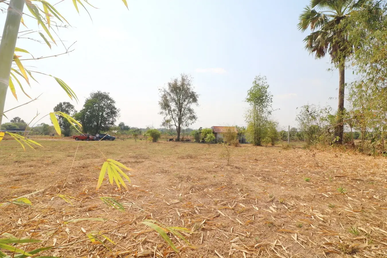 3 Rai Land + 1 Bed Bungalow for Sale in Ban Fang, Khon Kaen, Thailand