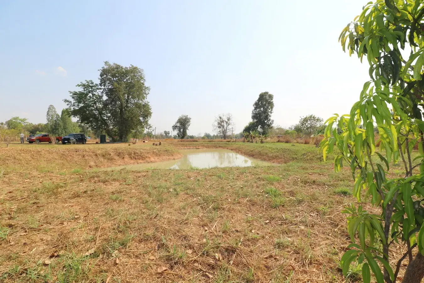 3 Rai Land + 1 Bed Bungalow for Sale in Ban Fang, Khon Kaen, Thailand